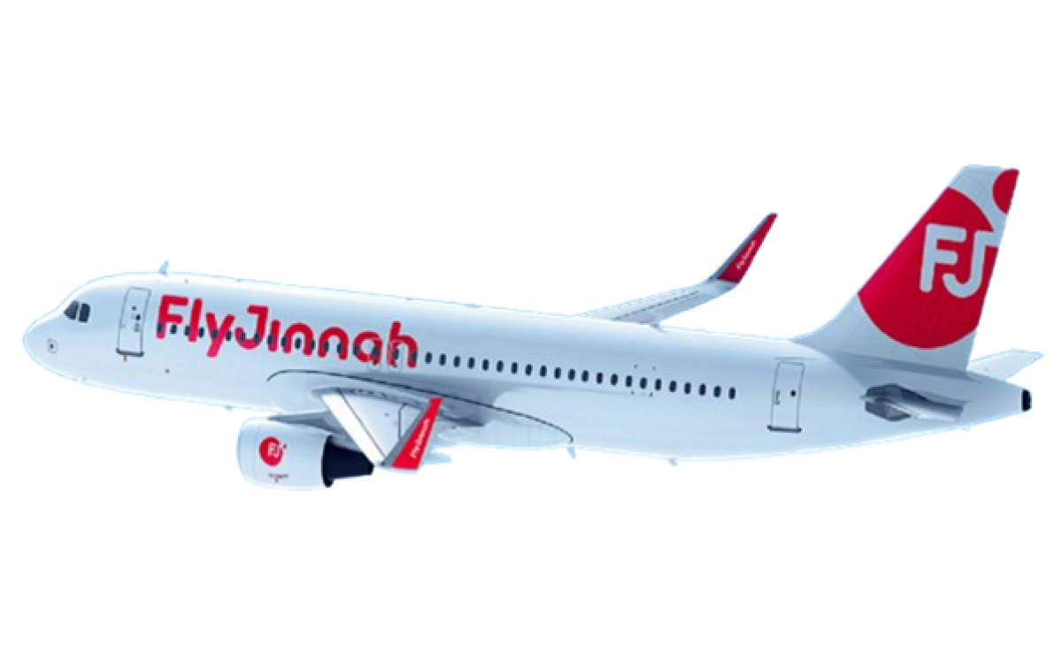 Fly Jinnah Ticket Check Online